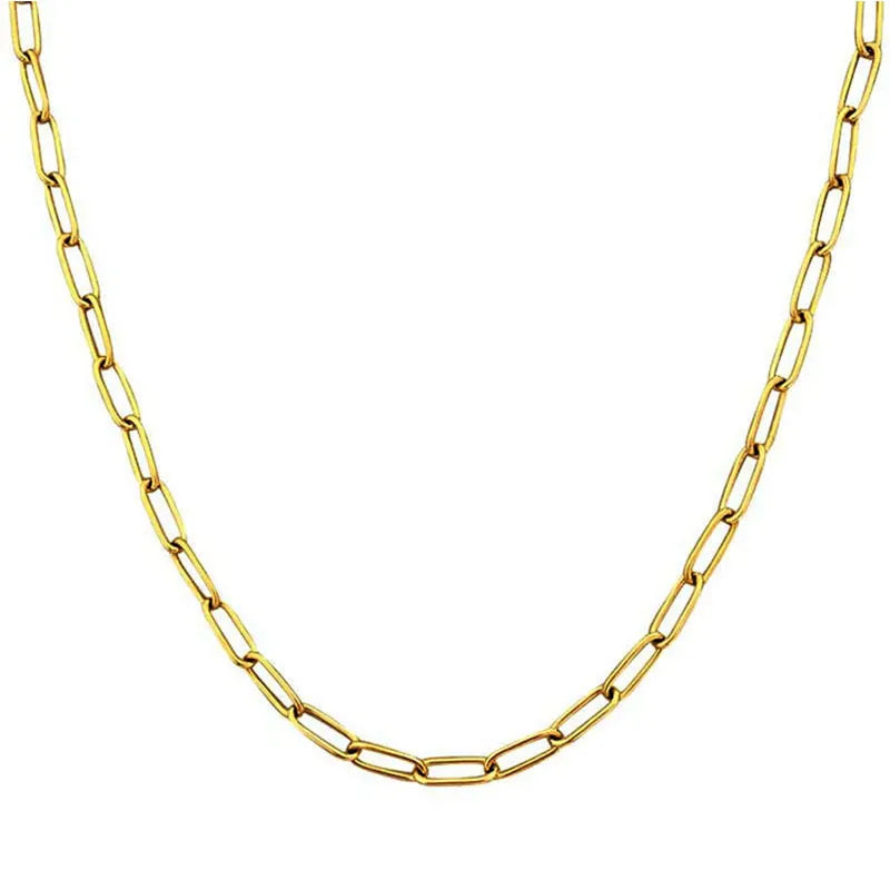Single Layer Chain Necklace